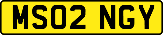 MS02NGY