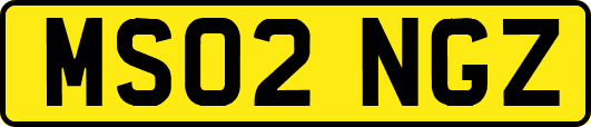 MS02NGZ