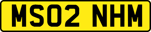 MS02NHM