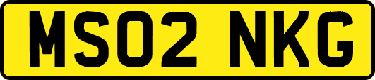 MS02NKG