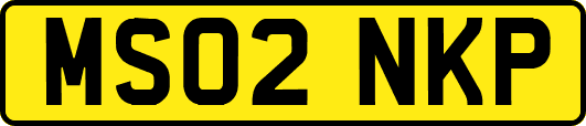 MS02NKP