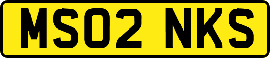 MS02NKS