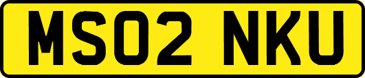 MS02NKU