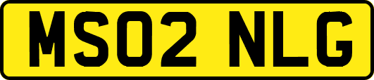 MS02NLG