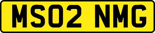 MS02NMG