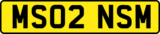 MS02NSM