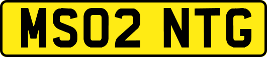 MS02NTG