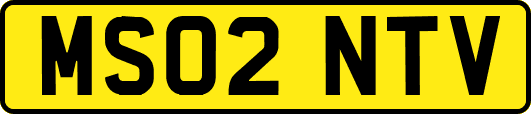 MS02NTV