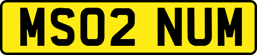 MS02NUM