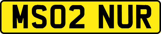 MS02NUR