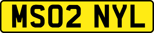MS02NYL