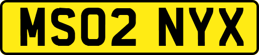 MS02NYX