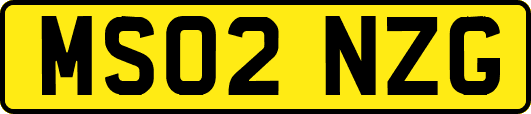 MS02NZG