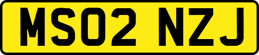 MS02NZJ