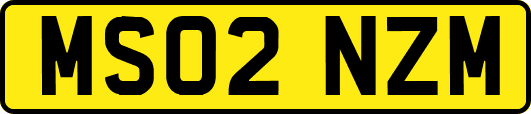 MS02NZM