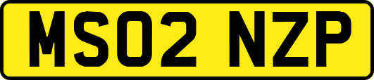 MS02NZP