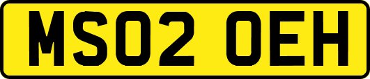 MS02OEH