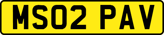 MS02PAV