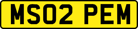 MS02PEM