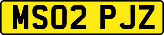 MS02PJZ