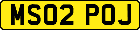 MS02POJ