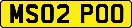 MS02POO