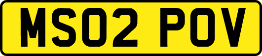MS02POV