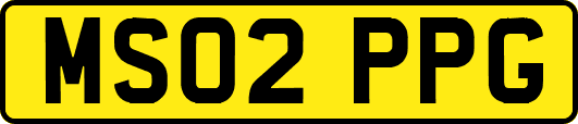 MS02PPG