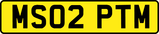 MS02PTM