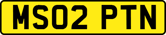 MS02PTN