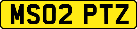 MS02PTZ
