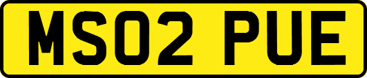 MS02PUE