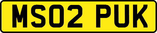 MS02PUK