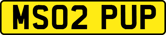 MS02PUP