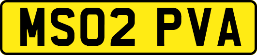 MS02PVA