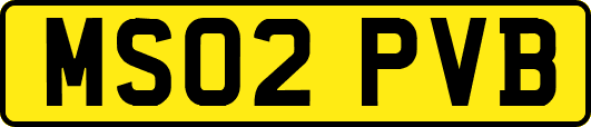 MS02PVB