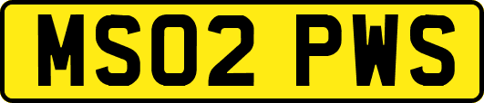 MS02PWS
