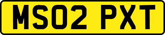 MS02PXT
