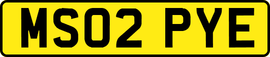 MS02PYE