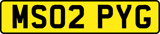 MS02PYG