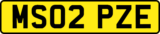 MS02PZE