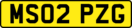 MS02PZG