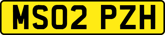 MS02PZH