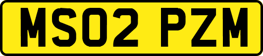 MS02PZM