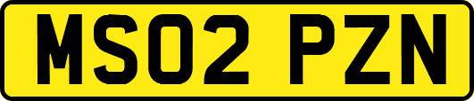MS02PZN