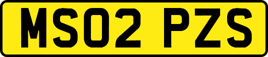 MS02PZS