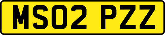 MS02PZZ