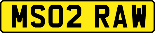 MS02RAW