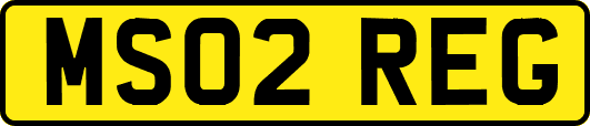MS02REG