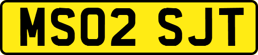 MS02SJT